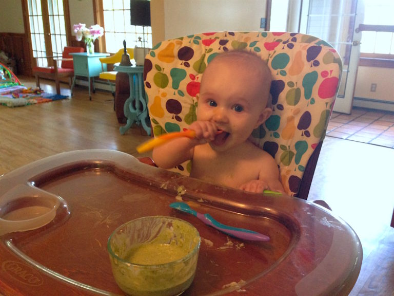 How I Make My Own Baby Food and Other Frugal Parenting Tales Frugalwoods