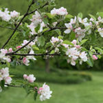 Reader Suggestions on How To Earn Money From Home During the Pandemic