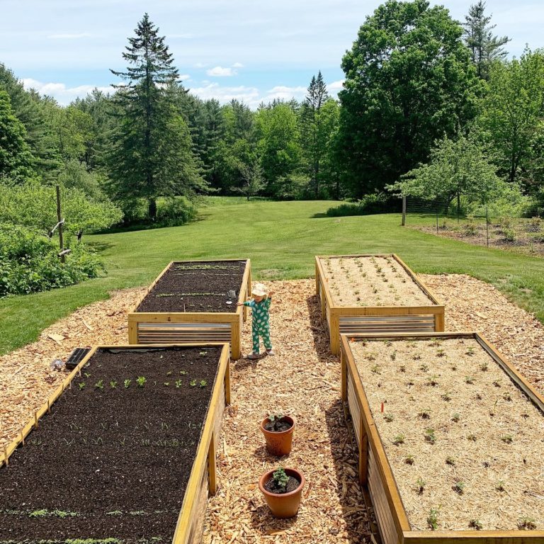 This Month On The Homestead The Full Garden Rundown Including Building Raised Beds Frugalwoods